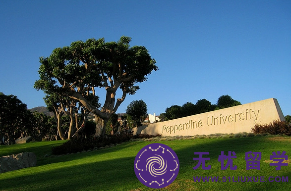 佩珀代因大学